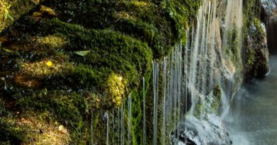 Экскурсия из Пятигорска: Медовые водопады фото 10756