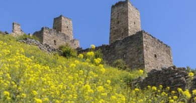 Авто-пешеходная экскурсия из Пятигорска (фото 2)