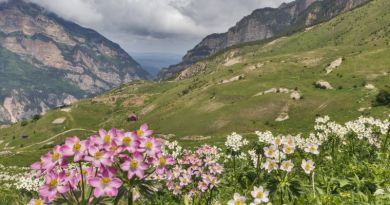 Экскурсии в `Замок-фрегат в Ханазе` из Пятигорска